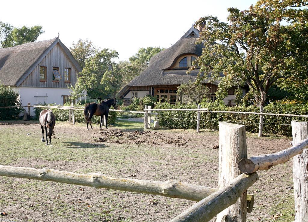 Ostseehotel Wustrow Wustrow  Eksteriør bilde